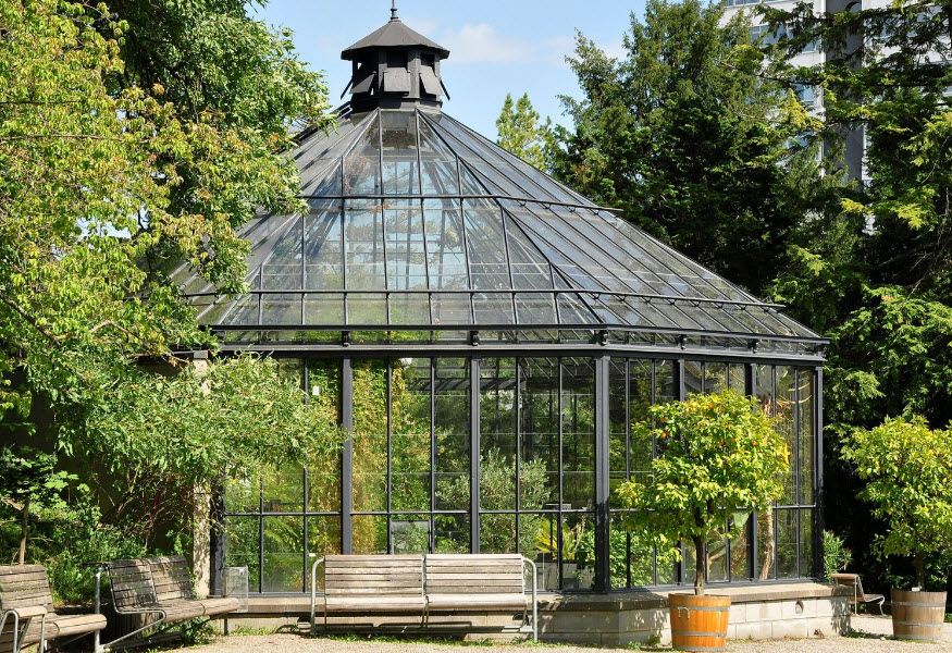 Botanical Garden, Zürich, Switzerland, Switzerland